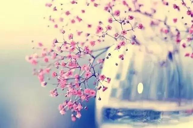 愿无岁月可回头，且敬往事一杯酒