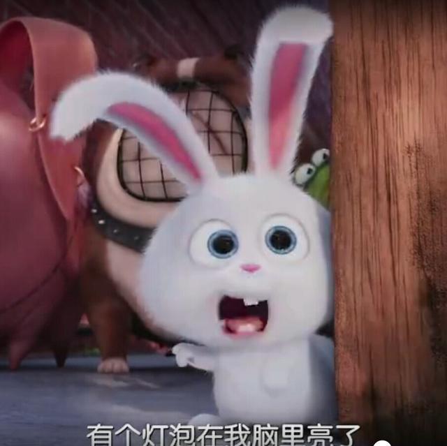 经典搞笑语录，这鸡汤有毒