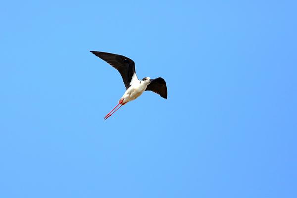 或许，这就是幸福