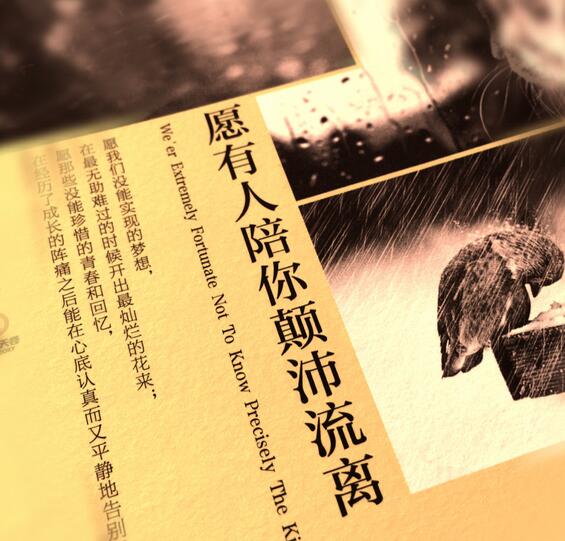 《愿有人陪你颠沛流离》经典语录 《愿有人陪你颠沛流离》经典语录