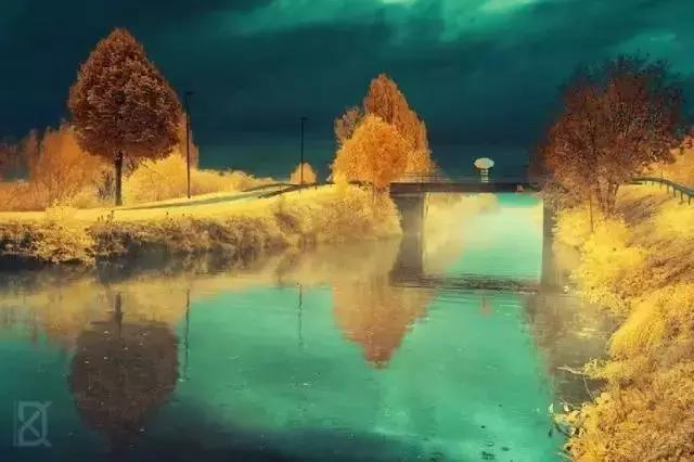 有一种美丽 叫淡到极致 有一种美丽 叫淡到极致