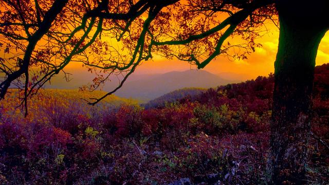 做人，有“五不”原则