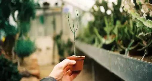 人与人,一场缘;心与心,关乎情 人与人,一场缘;心与心,关乎情