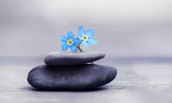 做人，千万别算计