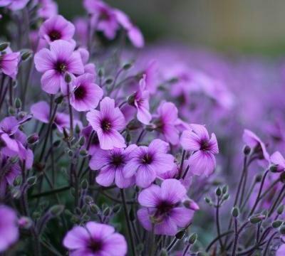 人生,不要想得那么多 人生,不要想得那么多