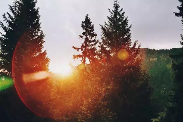 别人的嘴,自己的路(好文) 别人的嘴,自己的路(好文)