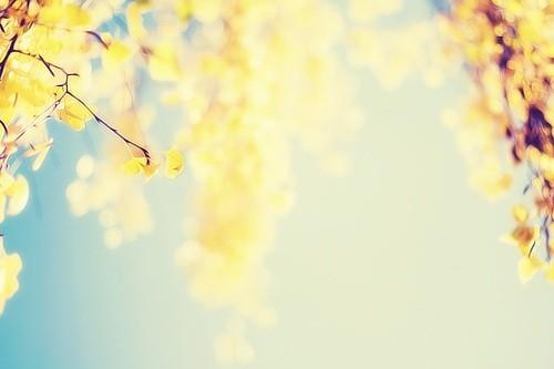 习惯了忍耐和等待，有一天明白，原来果断更重要