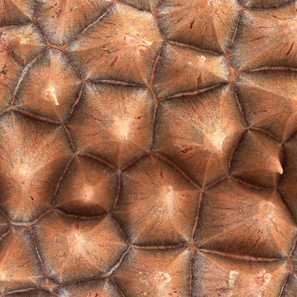 人生，糊涂难得，难得糊涂