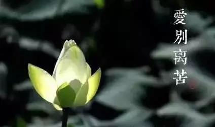 人生有【八苦】 一切莫非是苦