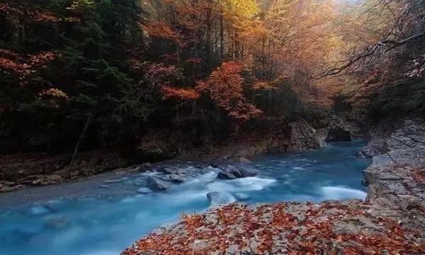 活着，有什么好抱怨的