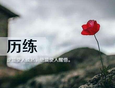 一句话悟透人生，看清冷暖