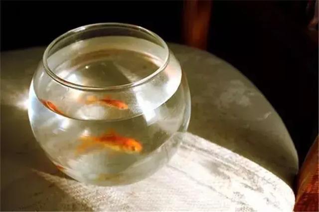 尊重别人，你才是赢家