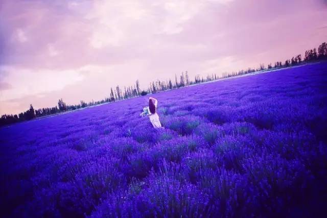 春风十里，许你一场永如初见