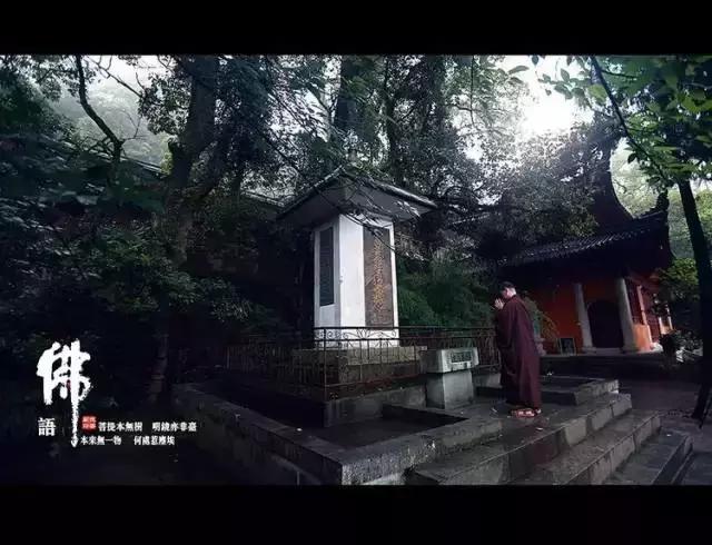 仓央嘉措的回声: 你的心,在污泥里开出一朵莲花 仓央嘉措的回声: 你的心,在污泥里开出一朵莲花