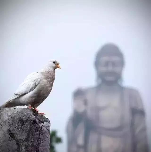 心灯