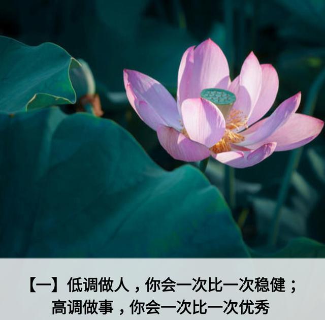 人生应该谨记的金言