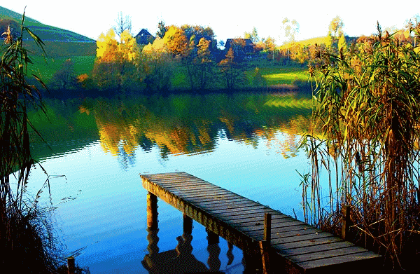 非常经典的人生感悟(写的真好) 非常经典的人生感悟(写的真好)