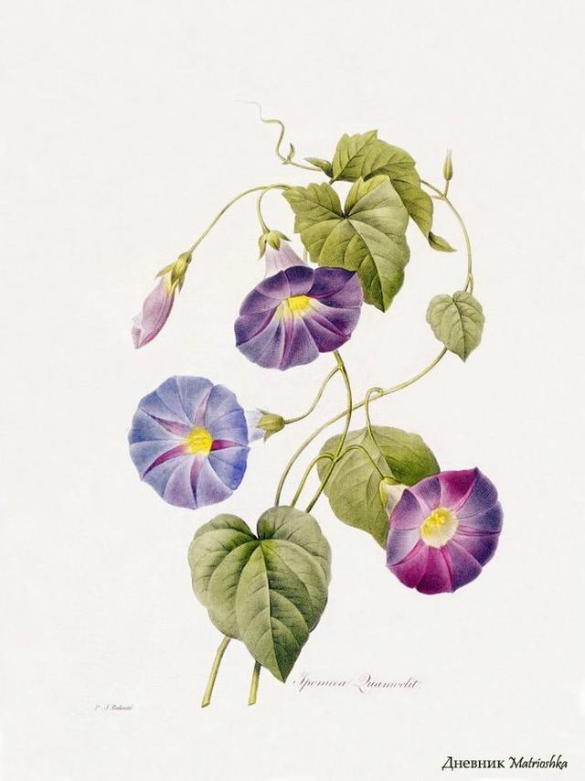 20条非常精辟的一句话经典语录,句句大实话 20条非常精辟的一句话经典语录,句句大实话