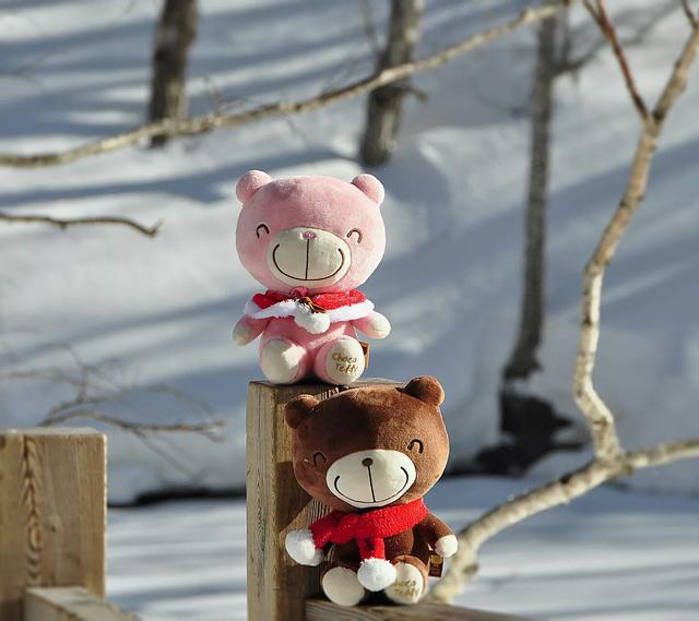 幽默有趣的唯美语录,富有哲理发人深思 幽默有趣的唯美语录,富有哲理发人深思