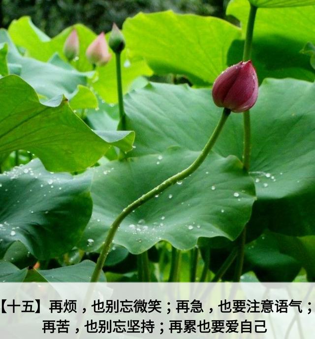 人生应该谨记的金言