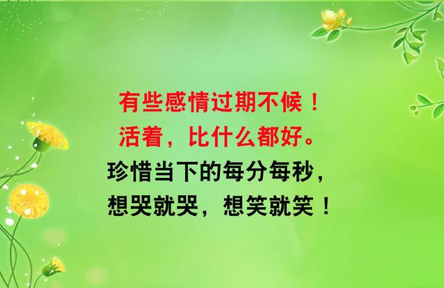 泪水,要自己擦,风雨,要自己挡,滋味,要自己尝(扛住,挺住) 泪水,要自己擦,风雨,要自己挡,滋味,要自己尝(扛住,挺住)