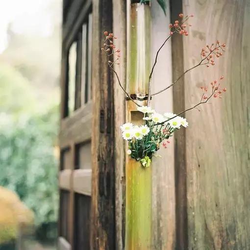 你惹我生气，我偏要争气