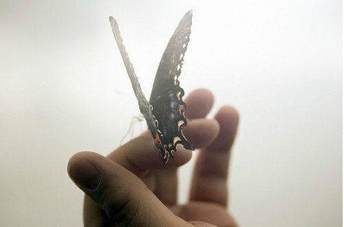 感悟人生经典语录，哪一句让你刻骨铭心？