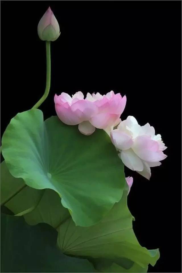心态好，一切都会好