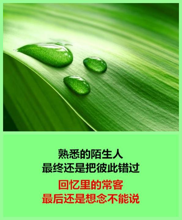 有些人，再也不能联系了