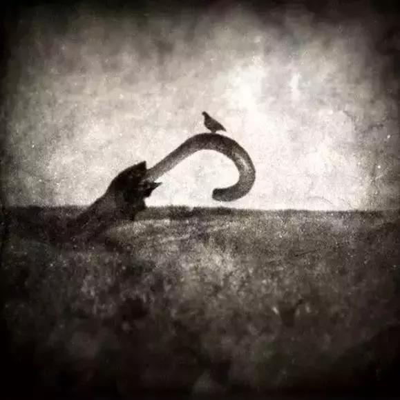 别熬夜了，非常经典，值得一看