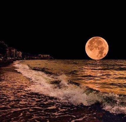 从三毛的经典美句中，感受她如水般的柔情