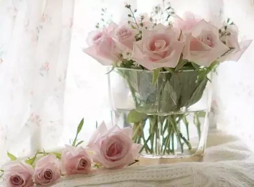 人生，原本就没有相欠