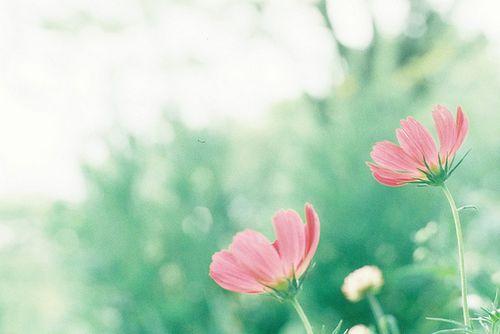 生活再烦，也别忘微笑；再急，也要注意语气