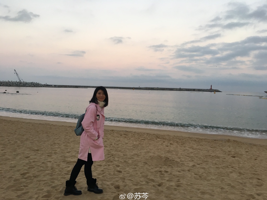 苏岑最新经典语录