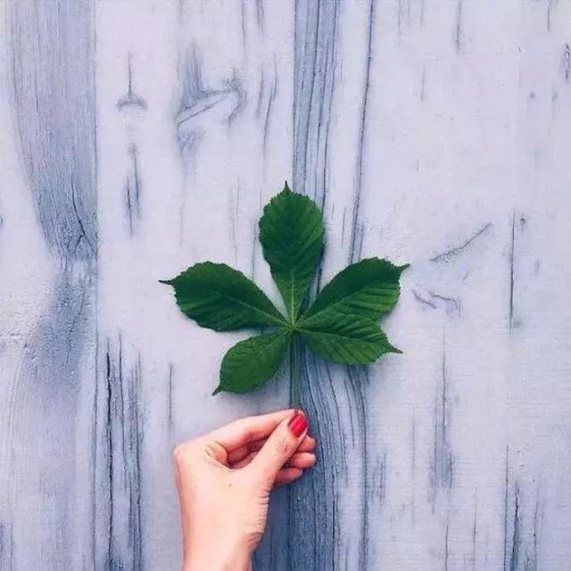 别说对不起，因为我们没关系