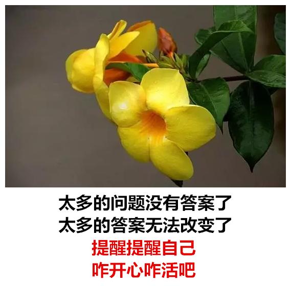 生活有苦有甜，爱情有闹有和，心情有悲有喜，日子有阴有晴