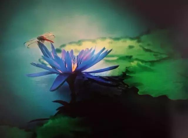 人生之大境界：心如莲花，念如菩提