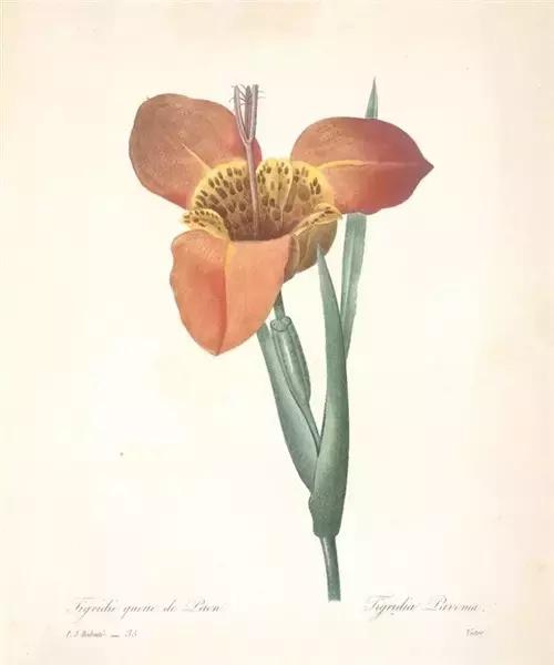 生命中所有的相逢,都是命中注定 生命中所有的相逢,都是命中注定