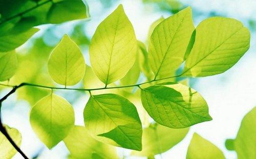 朋友圈最能治愈心灵的鸡汤语录 朋友圈最能治愈心灵的鸡汤语录