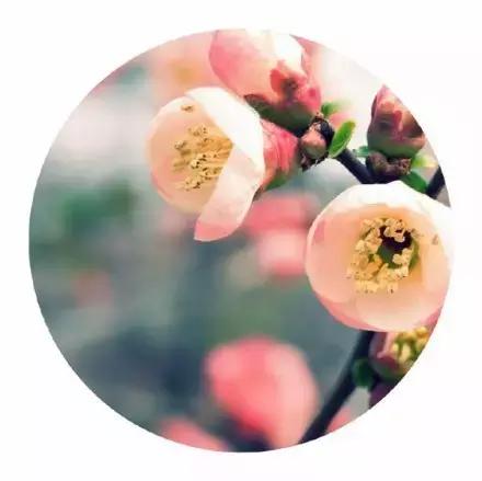 放下昨天,珍惜明天 放下昨天,珍惜明天