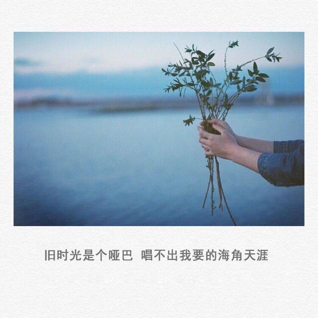 有些感情就像废纸篓里的文件，不想看到，不忍清空（句句扎心）
