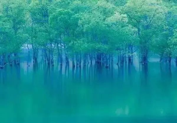 生活，浓淡相宜；人心，远近相安