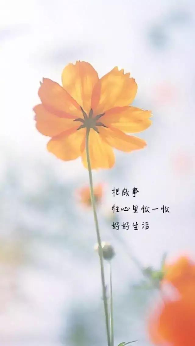 大胆一点，反正你只活一次