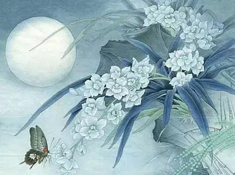 人生，只有走出来的美丽