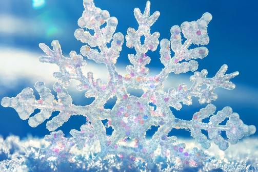 三毛最美的经典语录