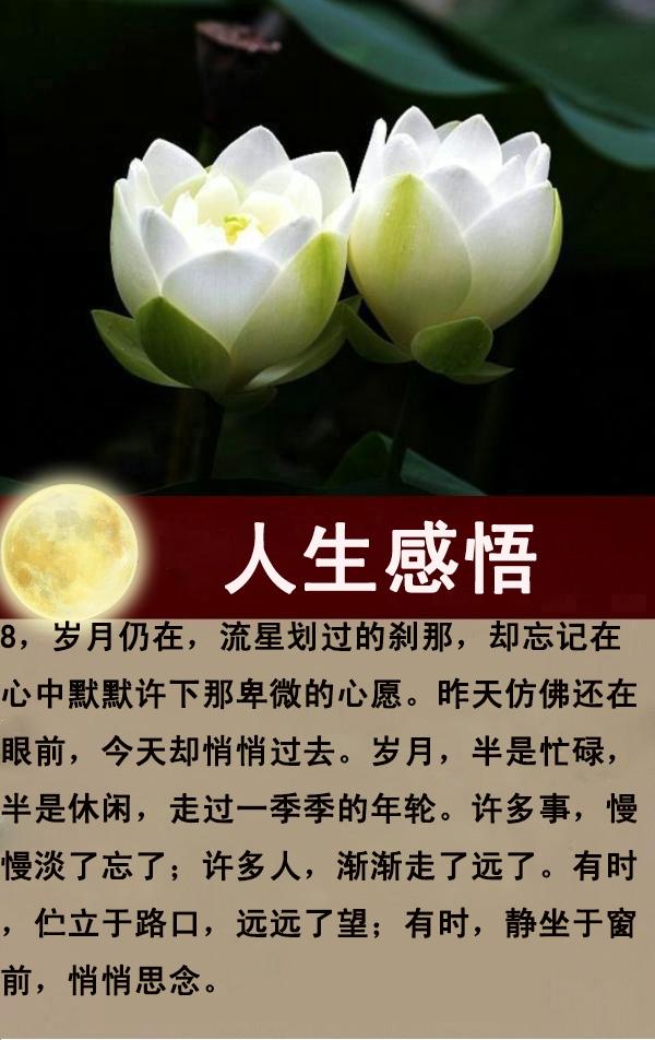 每天一点正能量，感悟生命，感谢生活