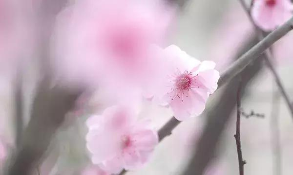 人心，不能冷落；感情，不容敷衍