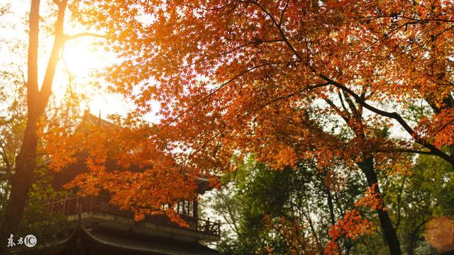 时时落叶纷纷秋彩满地 时时落叶纷纷秋彩满地