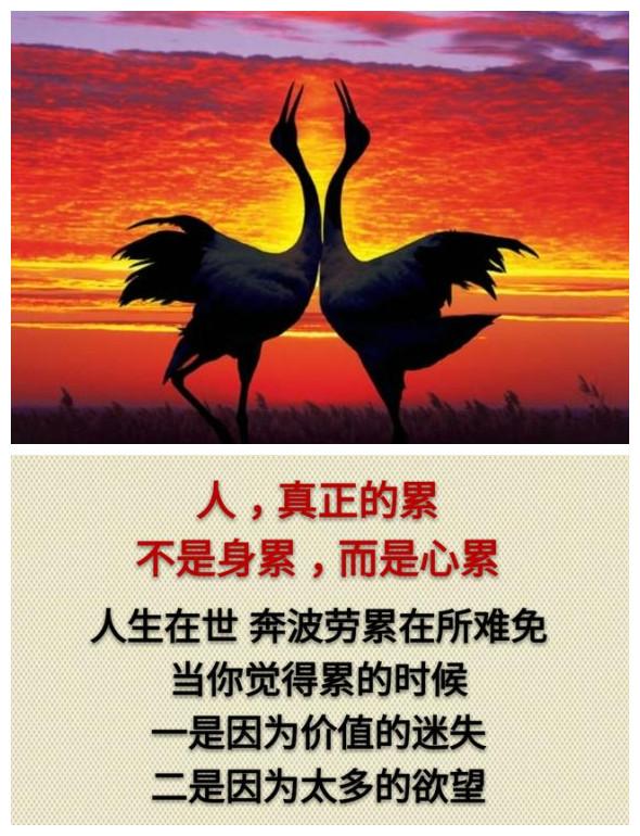 你累吗？（累就看看）