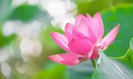 人生毒言……值得收藏